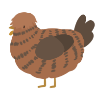 A brown and bark chicken with a bar pattern