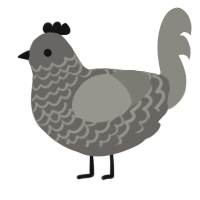 A grey and ash chicken with a lace pattern