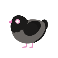 (unnamed), a grey and sable chicken with a head pattern