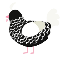 A black and white chicken with a lace pattern