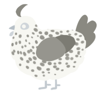 A white and ash chicken with a speckle pattern