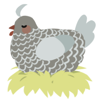 A ash and silver chicken with a lace pattern