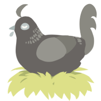 A grey and ash chicken with a neck-band pattern
