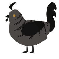 A grey and sable chicken with a half-bar pattern