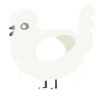 A white chicken