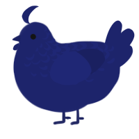 A navy chicken with a half-lace pattern