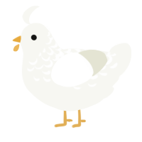 A white chicken with a half-lace pattern