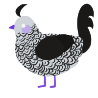 A mist and sable chicken with a double-lace pattern