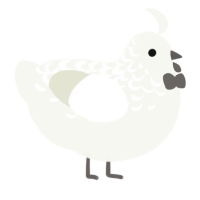 A white chicken with a half-lace pattern