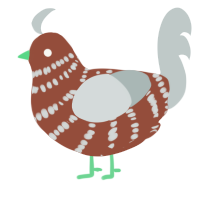 Strut, a russet and silver chicken with a bar pattern