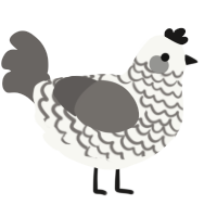A white and grey chicken with a lace pattern