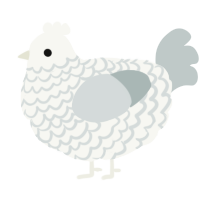 A white and silver chicken with a lace pattern