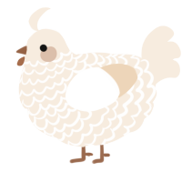 A cream chicken with a lace pattern