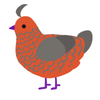 A vermilion and grey chicken with a lace pattern