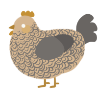 A beige and grey chicken with a double-lace pattern