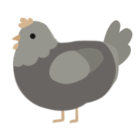 A grey and ash chicken with a head pattern