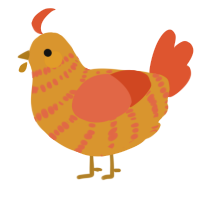 A orange and vermilion chicken with a bar pattern