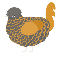A grey and orange chicken with a lace pattern