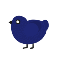 Lapis, a navy chicken with a lace pattern