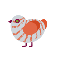 Regi, a mist and vermilion chicken with a bar pattern