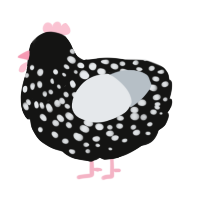 A black and mist chicken with a speckle pattern