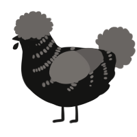 A black and grey chicken with a half-bar pattern