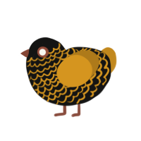 Barry, a black and ochre chicken with a lace pattern