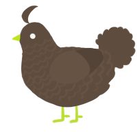 A bark chicken with a lace pattern