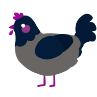 A grey and tumblr chicken with a head pattern