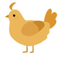 A honey and orange chicken