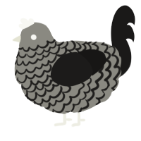 A ash and sable chicken with a lace pattern