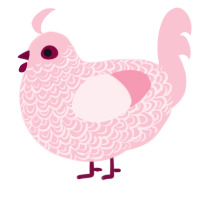 A rose chicken with a double-lace pattern
