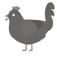 A grey chicken with a speckle pattern