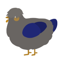 A grey and navy chicken