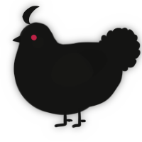A black chicken