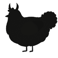 A black chicken with a double-lace pattern