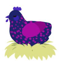 A navy and plum chicken with a speckle pattern