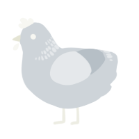A mist chicken with a neck-band pattern