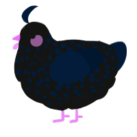 A black and tumblr chicken with a speckle pattern
