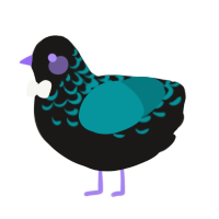A sable and teal chicken with a half-lace pattern