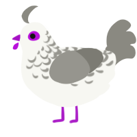 A white and ash chicken with a half-lace pattern