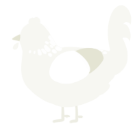 A white chicken with a neck-speckle pattern
