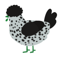A silver and sable chicken with a speckle pattern