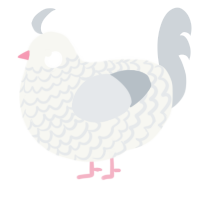 A white and mist chicken with a lace pattern