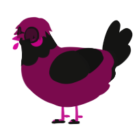 A wine and black chicken with a head pattern