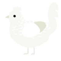 A white chicken with a half-lace pattern