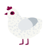 A white and mist chicken with a speckle pattern