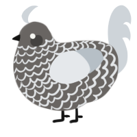 A grey and mist chicken with a lace pattern