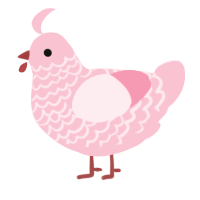 A rose chicken with a lace pattern