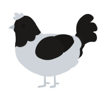 A mist and sable chicken with a head pattern